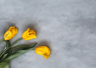 משטח עבודה feelness - משטח הננו החדש מבית קרונוספן